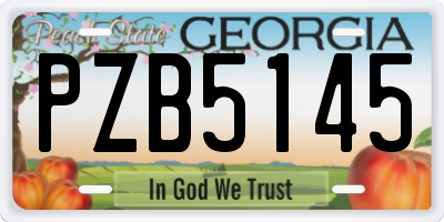 GA license plate PZB5145