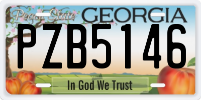 GA license plate PZB5146
