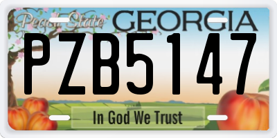 GA license plate PZB5147