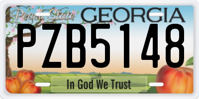 GA license plate PZB5148