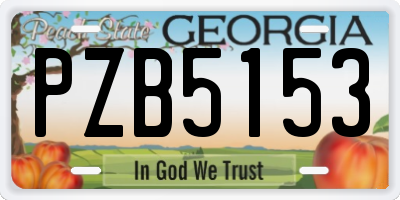 GA license plate PZB5153