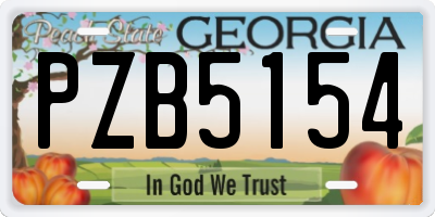 GA license plate PZB5154