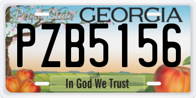 GA license plate PZB5156