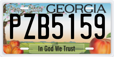 GA license plate PZB5159