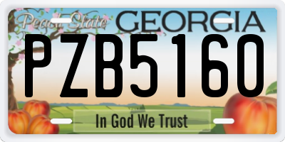 GA license plate PZB5160