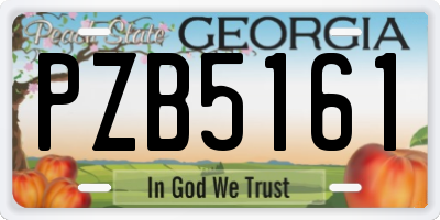 GA license plate PZB5161