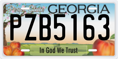 GA license plate PZB5163