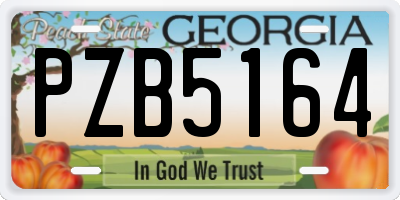 GA license plate PZB5164