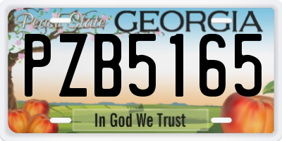 GA license plate PZB5165