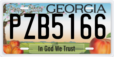 GA license plate PZB5166