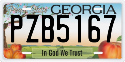 GA license plate PZB5167