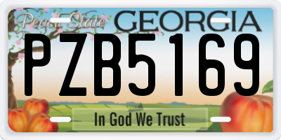 GA license plate PZB5169