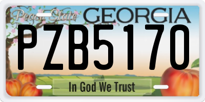 GA license plate PZB5170