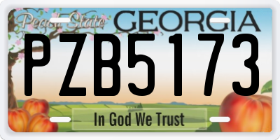 GA license plate PZB5173