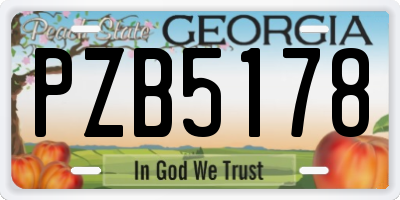 GA license plate PZB5178