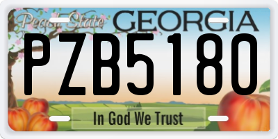 GA license plate PZB5180