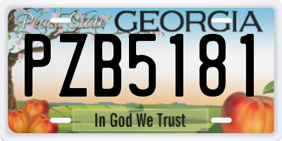 GA license plate PZB5181