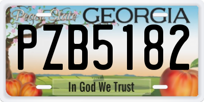GA license plate PZB5182