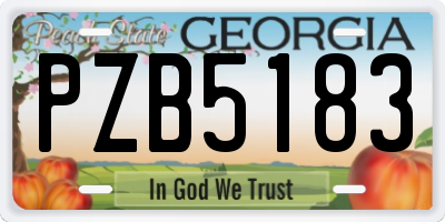 GA license plate PZB5183