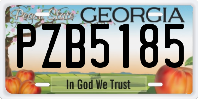 GA license plate PZB5185