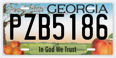 GA license plate PZB5186