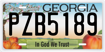 GA license plate PZB5189