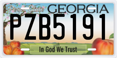 GA license plate PZB5191