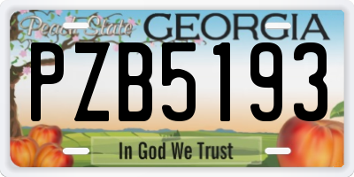 GA license plate PZB5193