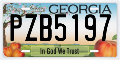 GA license plate PZB5197