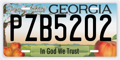 GA license plate PZB5202
