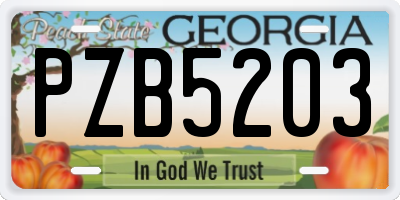 GA license plate PZB5203