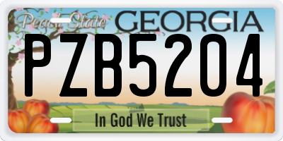 GA license plate PZB5204