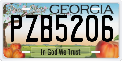 GA license plate PZB5206