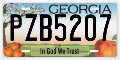 GA license plate PZB5207
