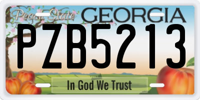 GA license plate PZB5213