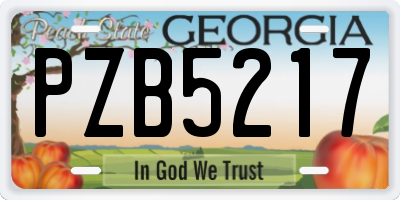 GA license plate PZB5217