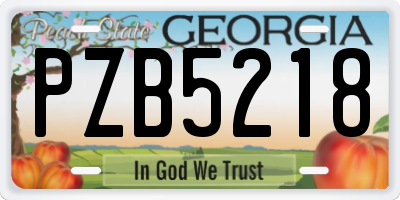GA license plate PZB5218