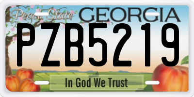 GA license plate PZB5219