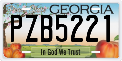 GA license plate PZB5221