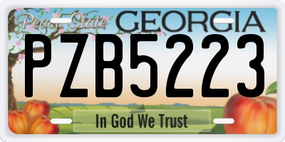 GA license plate PZB5223