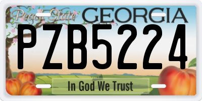 GA license plate PZB5224