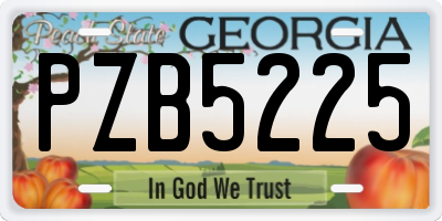 GA license plate PZB5225