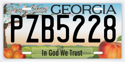GA license plate PZB5228