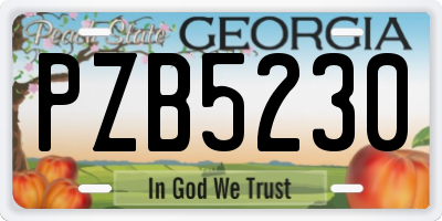 GA license plate PZB5230