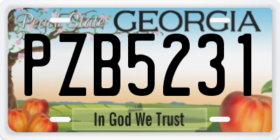 GA license plate PZB5231