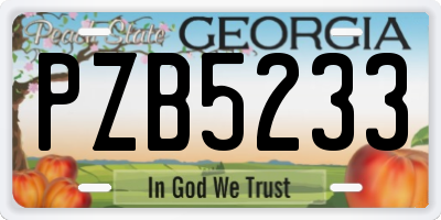 GA license plate PZB5233