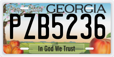 GA license plate PZB5236