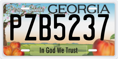 GA license plate PZB5237