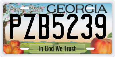 GA license plate PZB5239