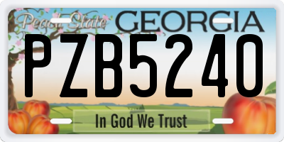 GA license plate PZB5240